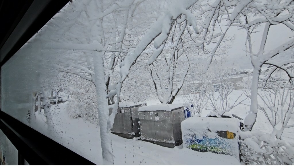 [首爾] 自由行探索當地人的行程11月大雪創紀錄