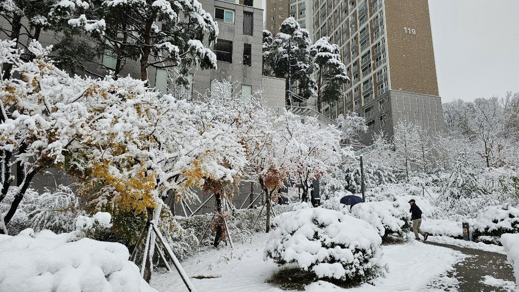 [首爾] 自由行探索當地人的行程11月大雪創紀錄