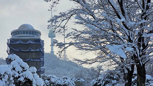 [首爾] 自由行探索當地人的行程11月大雪創紀錄