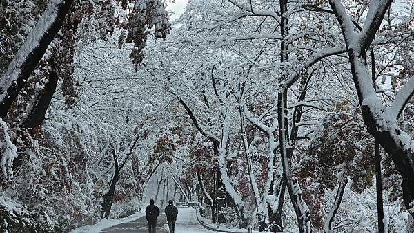 [首爾] 自由行探索當地人的行程11月大雪創紀錄