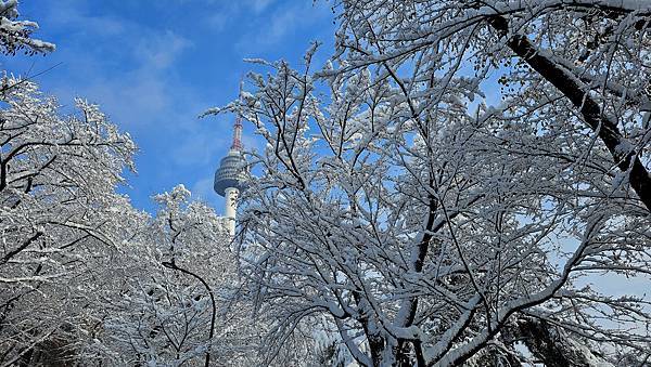 [首爾] 自由行探索當地人的行程11月大雪創紀錄