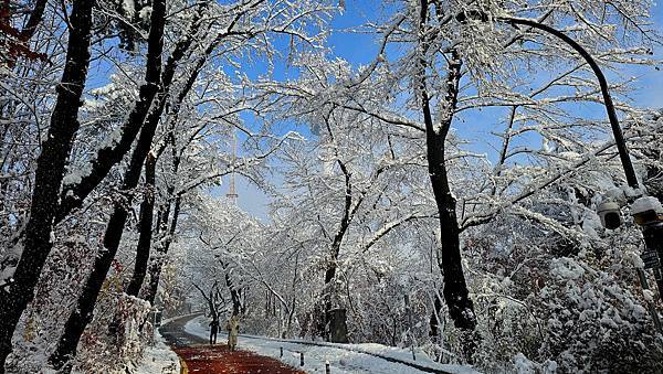 [首爾] 自由行探索當地人的行程11月大雪創紀錄