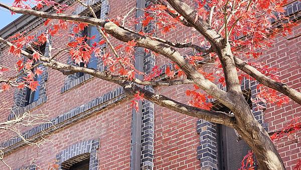 [首爾] 自由行探索當地人的行程11月大雪創紀錄