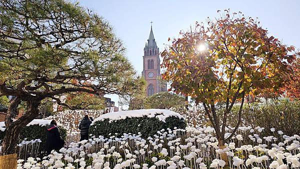 [首爾] 自由行探索當地人的行程11月大雪創紀錄