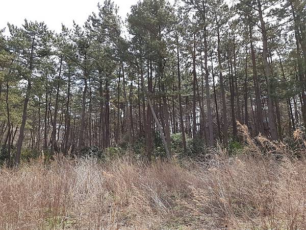 20170405_120215.jpg 20170405_120215.jpg