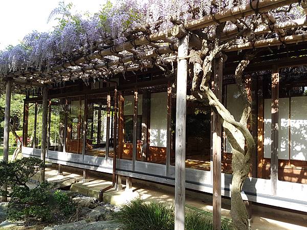 20170507_152733.jpg 20170507_152733.jpg