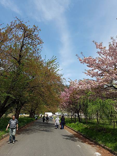 20170503_132412.jpg 20170503_132412.jpg