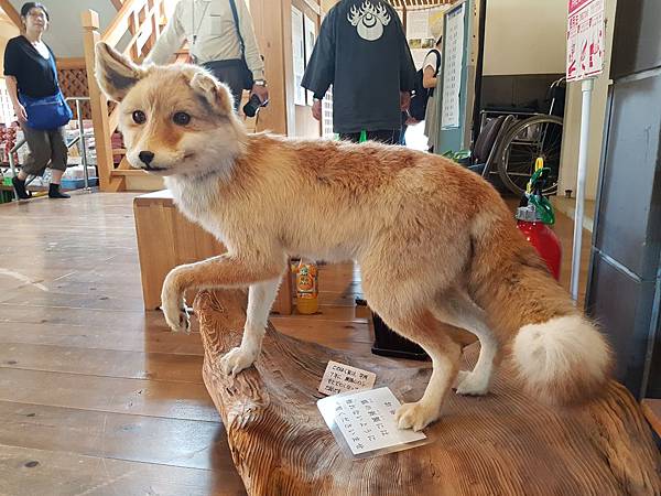 20170503_144516.jpg 20170503_144516.jpg