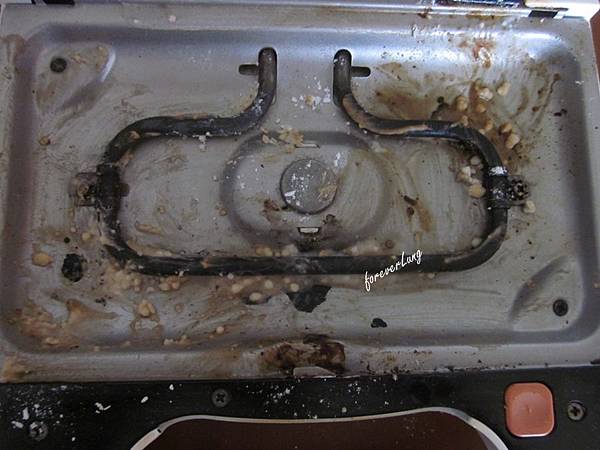 VITANTONIO清潔2016 (2)