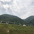 958B27BE-FF7A-4797-BBCE-5E8CB2D45EF7L0001--IMG_9050.JPG.jpg
