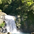 837C597B-692F-42D8-B8F0-919503DEA9BCL0001--IMG_0593.JPG.jpg