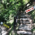 3050B5F2-B8E0-4D74-8038-E213ECE3D6F9L0001--IMG_0704.JPG.jpg