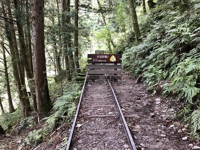 2019.08.17_太平山蹦蹦車茂興歩道