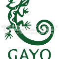 GayoLogo