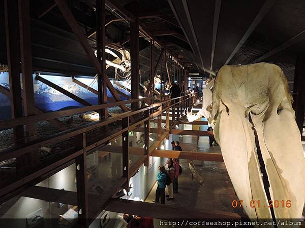 004狠棒滴展示空間.雖然外頭一直下著雨.在此深度了解鯨魚滴世界也是另外滴收穫.JPG 004狠棒滴展示空間.雖然外頭一直下著雨.在此深度了解鯨魚滴世界也是另外滴收穫.JPG