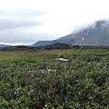 014中央高地滴地標Herðubreið海爾聚布雷茲山以及遺世獨立滴山小屋.每看一次相片.就會想念當時每次呼吸時冷冽卻清新滴空氣.JPG