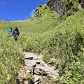 010好多山友經此道下山.坡度大約50起跳.上山走還口以.下山就比較傷膝蓋了.JPG