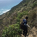 033過觀音鼻山三角點後開始下坡.路段陡上陡下.最近雨量少天氣乾燥.地面多是細沙反而滑.有時需要繩索輔助。.JPG