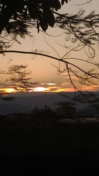 P_20160126_172318.jpg P_20160126_172318.jpg