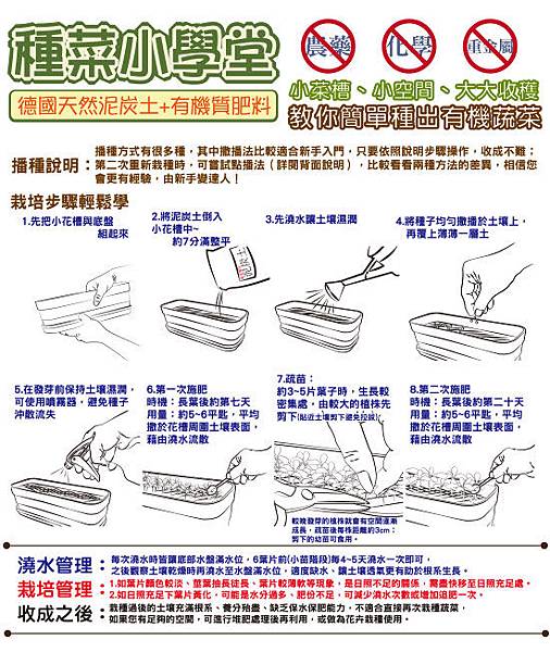 新手種菜 新手種菜