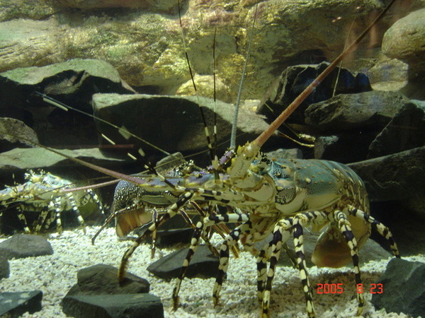 澎湖水族館之二