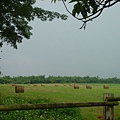 國立屏東科技大學