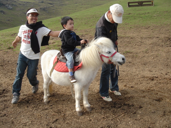 小孩兒騎在小馬兒上