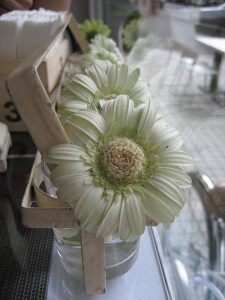 桌邊的可愛小花