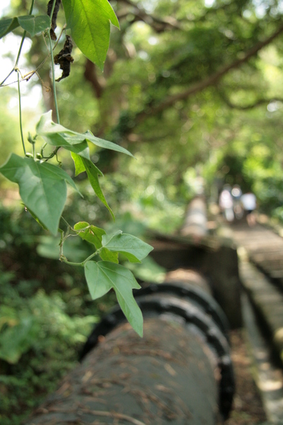 招牌大水管