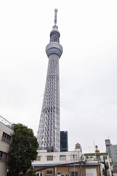 東京13