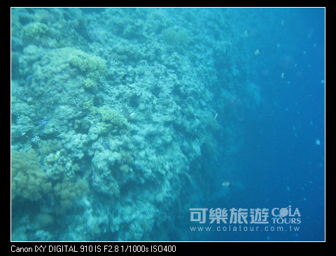 蜜月》IMG_2723.jpg 蜜月》IMG_2723.jpg