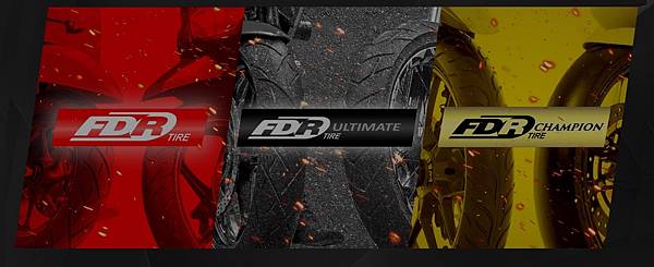 TT93 天使胎 D307 ROSSO 輪胎 比較