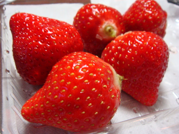 還有買草莓！非常香，而且甜！真是個有內涵的水果！