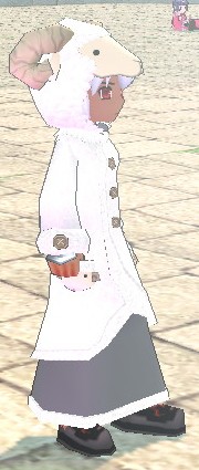 mabinogi_2008_12_10_004.jpg