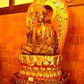 DSCF0063.JPG