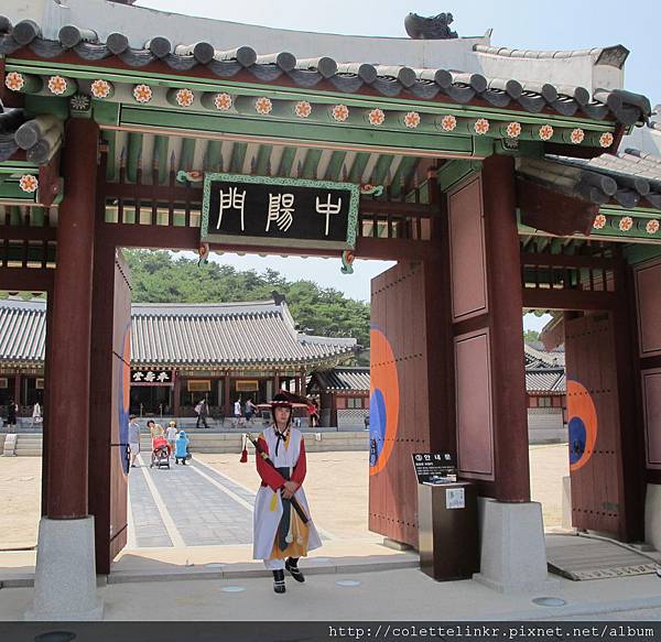 suwon 53