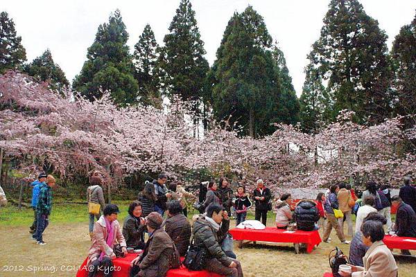 0404 醍醐寺-2