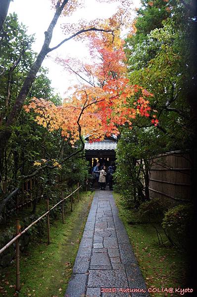 05-大德寺 06.JPG