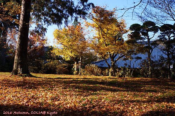 12-三千院 02.JPG