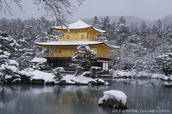 17 雪京都 金閣寺 需要緣分才能相遇的雪金閣 Colia 我是可樂 旅行 跑步 小日子 痞客邦