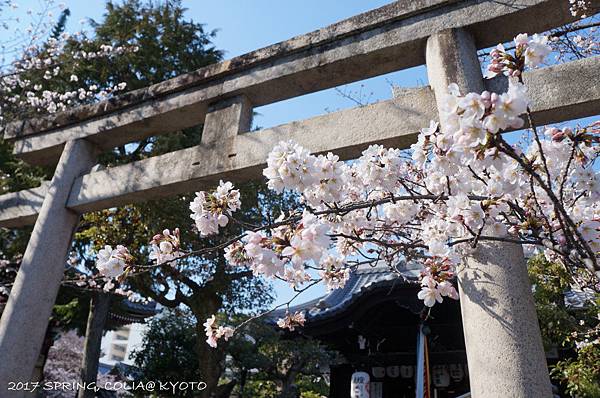 170404-本法寺.JPG