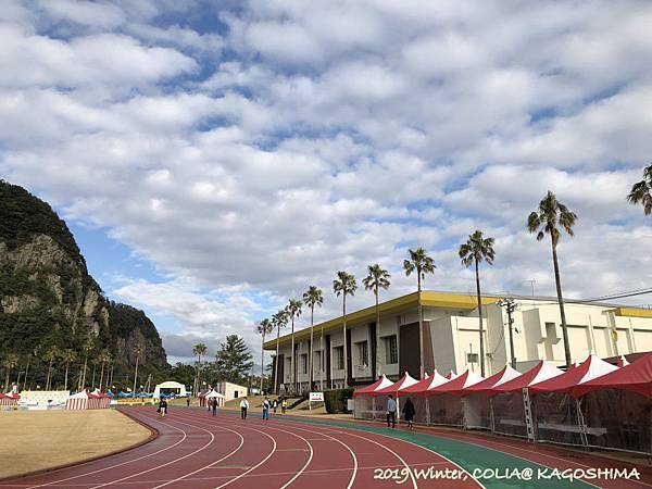 指宿馬 003.JPG 指宿馬 003.JPG