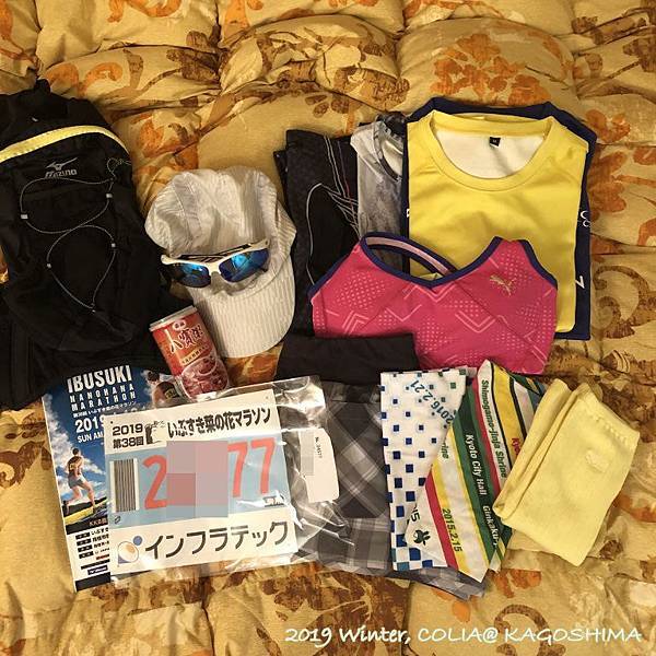 指宿馬 019.JPG 指宿馬 019.JPG