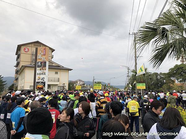 指宿馬 027.JPG 指宿馬 027.JPG