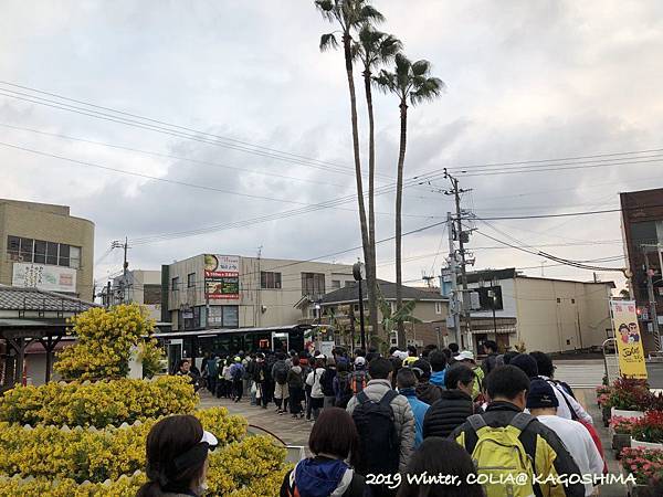 指宿馬 025.JPG 指宿馬 025.JPG