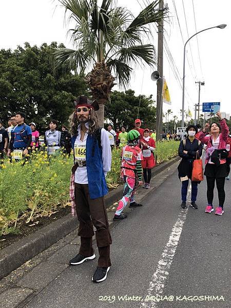 指宿馬 028.JPG 指宿馬 028.JPG