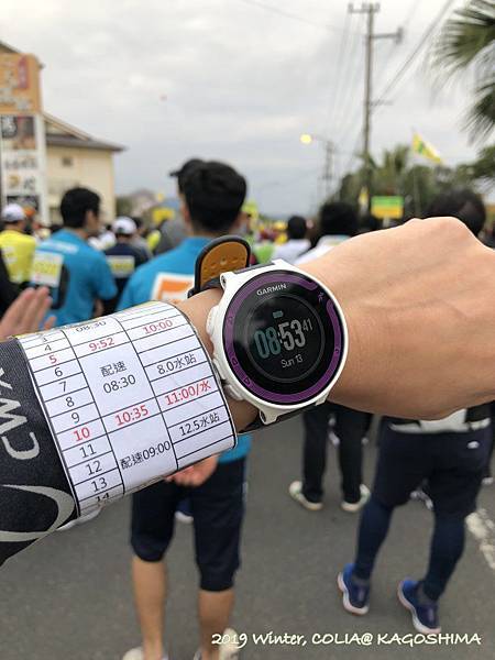 指宿馬 032.JPG 指宿馬 032.JPG