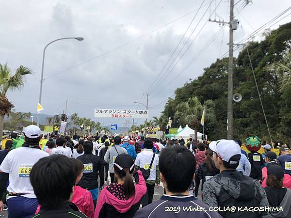 指宿馬 033.JPG 指宿馬 033.JPG