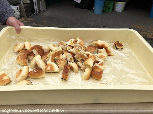 指宿馬 037.JPG 指宿馬 037.JPG