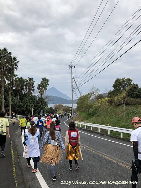 指宿馬 048.JPG 指宿馬 048.JPG